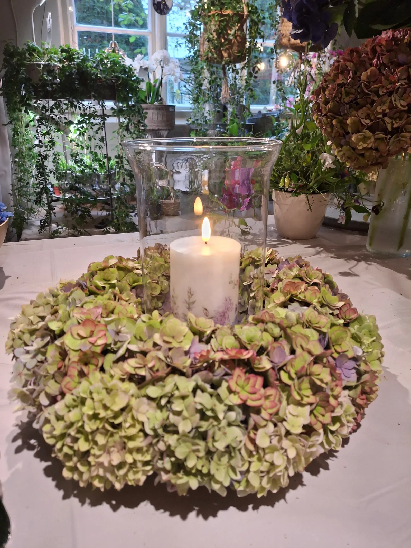 Ljus i glaslykta med hortensia