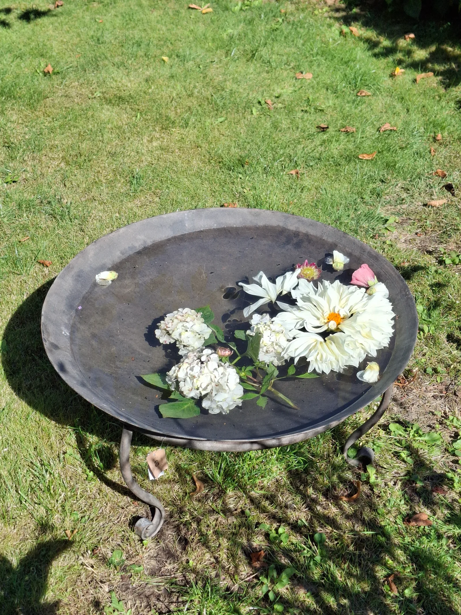 Blommor i skål i trädgården